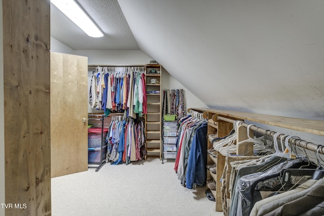 768 Lake Point Dr, Piney Flats, TN 37686 - spacious closet with carpet flooring and vaulted ceiling