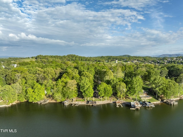 768 Lake Point Dr, Piney Flats, TN 37686 - drone / aerial view featuring a wooded view and a water view