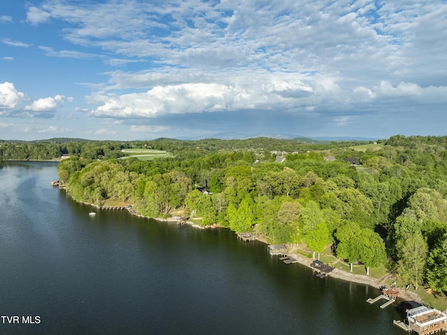 768 Lake Point Dr, Piney Flats, TN 37686 - aerial view featuring a water view and a view of trees