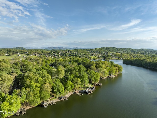 768 Lake Point Dr, Piney Flats, TN 37686 - bird's eye view with a wooded view and a water and mountain view