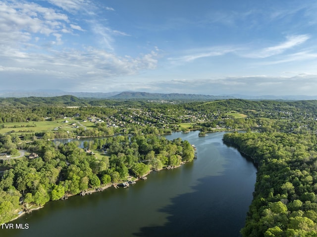 768 Lake Point Dr, Piney Flats, TN 37686 - bird's eye view with a water and mountain view and a forest view