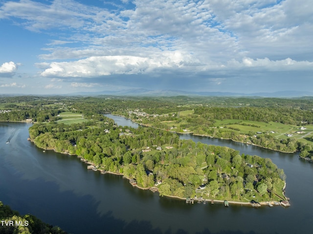 768 Lake Point Dr, Piney Flats, TN 37686 - birds eye view of property featuring a wooded view and a water view