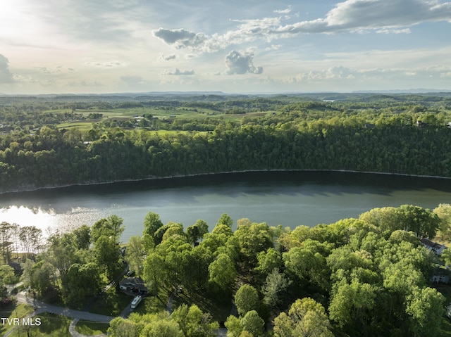 768 Lake Point Dr, Piney Flats, TN 37686 - water view featuring a view of trees