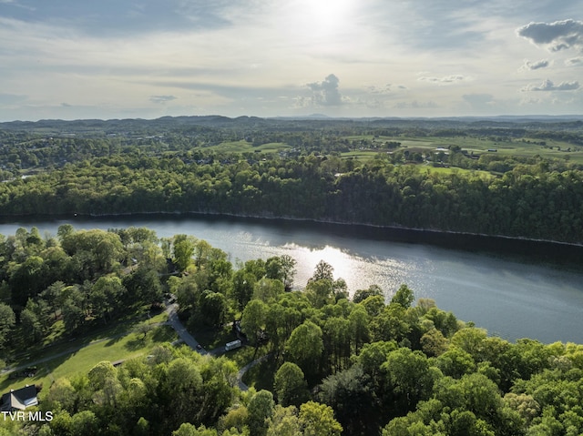 768 Lake Point Dr, Piney Flats, TN 37686 - aerial view featuring a forest view and a water view