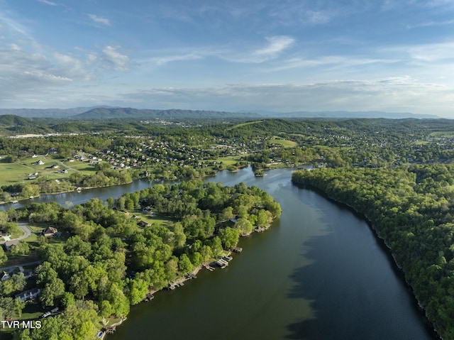 768 Lake Point Dr, Piney Flats, TN 37686 - birds eye view of property with a water and mountain view and a view of trees