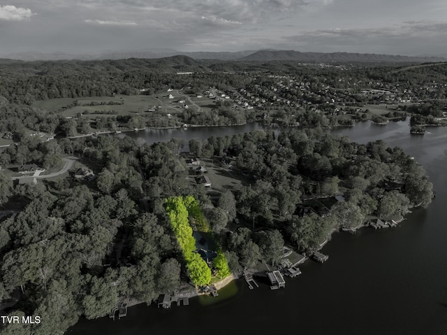 768 Lake Point Dr, Piney Flats, TN 37686 - bird's eye view with a water and mountain view and a forest view