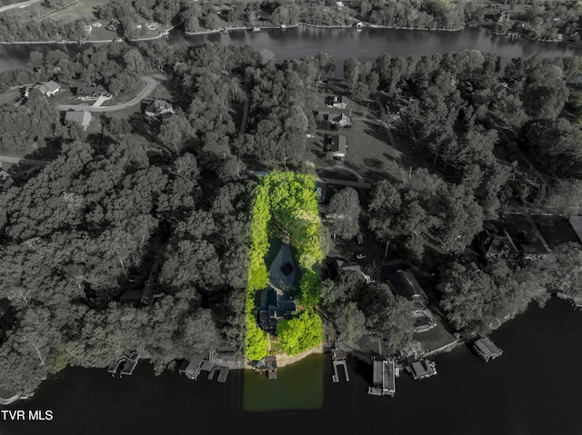 768 Lake Point Dr, Piney Flats, TN 37686 - birds eye view of property with a water view