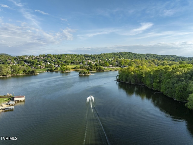 768 Lake Point Dr, Piney Flats, TN 37686 - property view of water featuring a wooded view