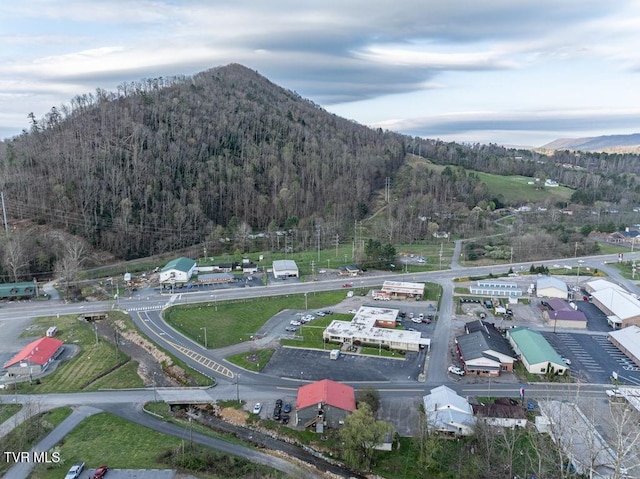 611 S Church St, Mountain City, TN 37683 - photo 9