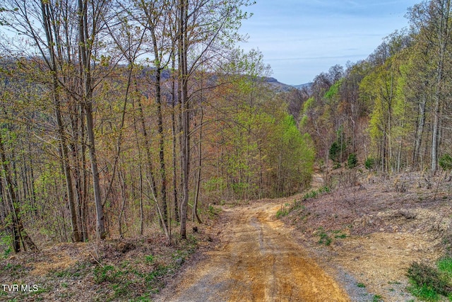 7538 Snake Hollow Rd, Sneedville, TN 37869 - photo 36