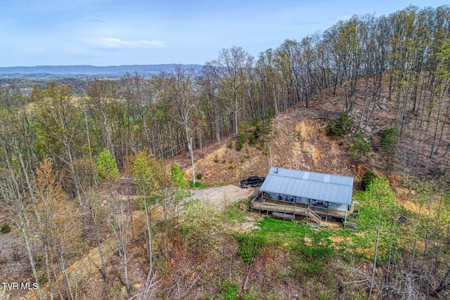 7538 Snake Hollow Rd, Sneedville, TN 37869 - photo 9