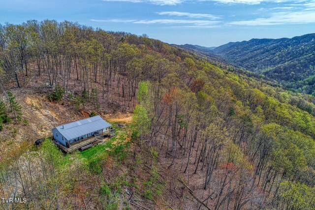 7538 Snake Hollow Rd, Sneedville, TN 37869 - photo 10