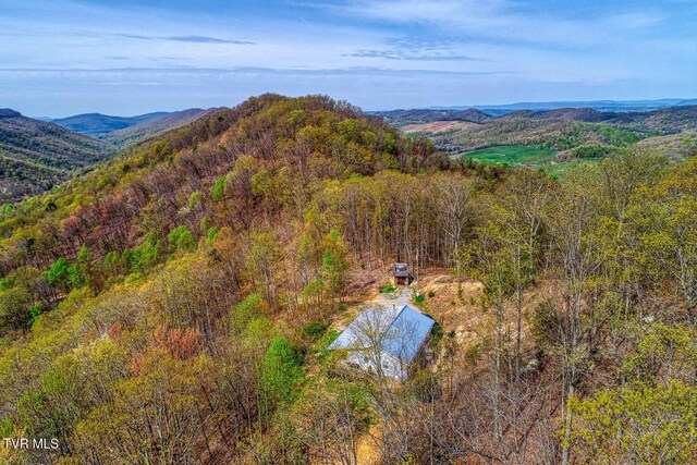7538 Snake Hollow Rd, Sneedville, TN 37869 - photo 11