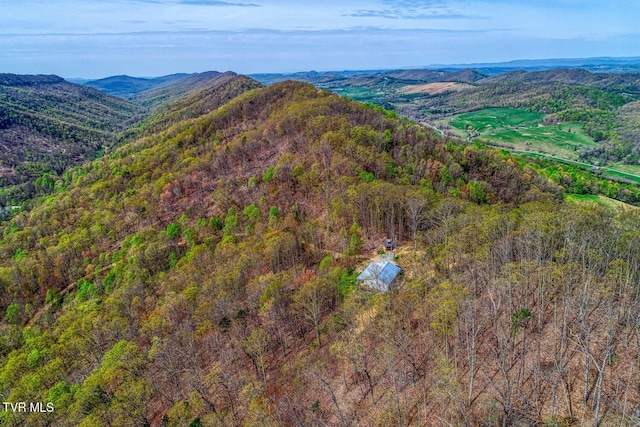 7538 Snake Hollow Rd, Sneedville, TN 37869 - photo 37