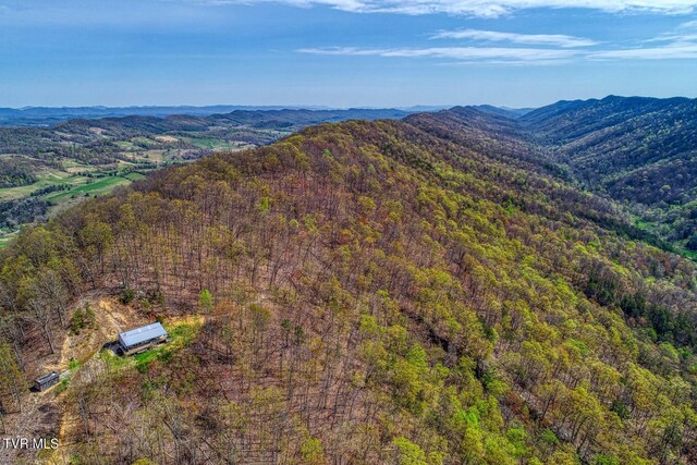 7538 Snake Hollow Rd, Sneedville, TN 37869 - photo 39