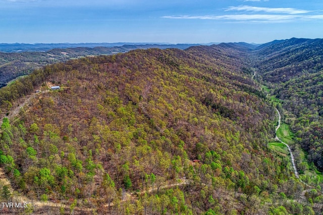 7538 Snake Hollow Rd, Sneedville, TN 37869 - photo 40