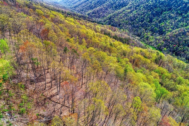 7538 Snake Hollow Rd, Sneedville, TN 37869 - photo 41