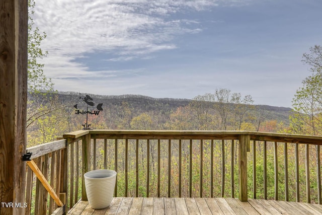 7538 Snake Hollow Rd, Sneedville, TN 37869 - photo 4