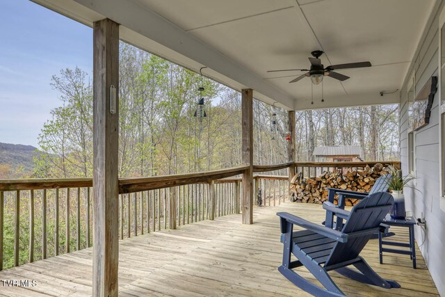 7538 Snake Hollow Rd, Sneedville, TN 37869 - photo 5