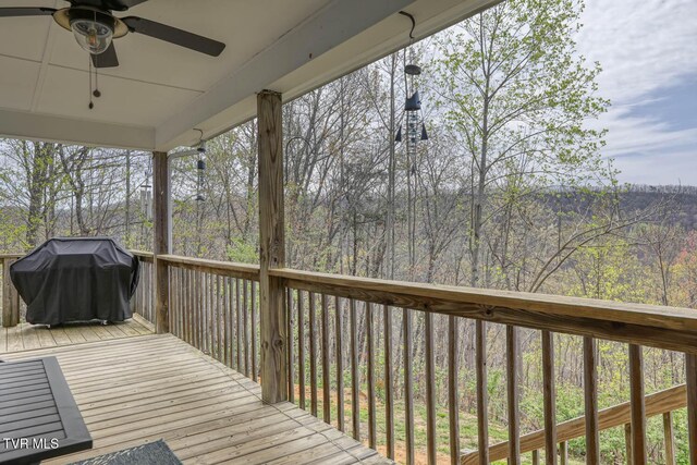7538 Snake Hollow Rd, Sneedville, TN 37869 - photo 6