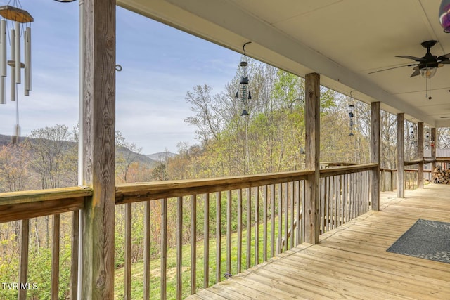 7538 Snake Hollow Rd, Sneedville, TN 37869 - photo 7