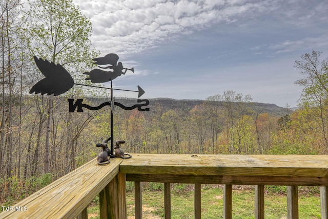 7538 Snake Hollow Rd, Sneedville, TN 37869 - photo 8