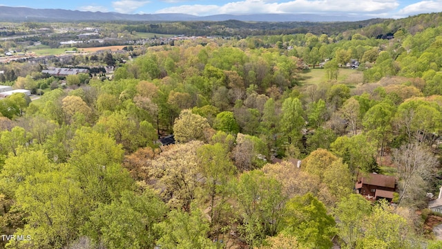 drone / aerial view featuring a wooded view and a mountain view