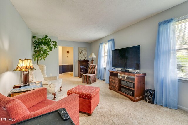 carpeted living area with baseboards and a wealth of natural light