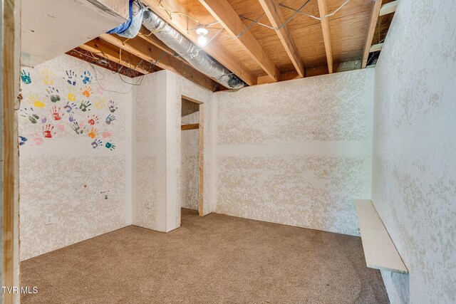 unfinished below grade area with carpet floors