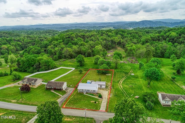 bird's eye view featuring a mountain view and a forest view