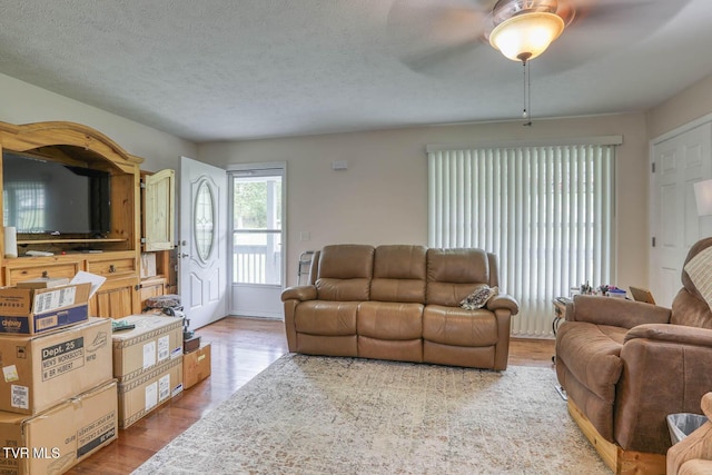 living area with wood finished floors