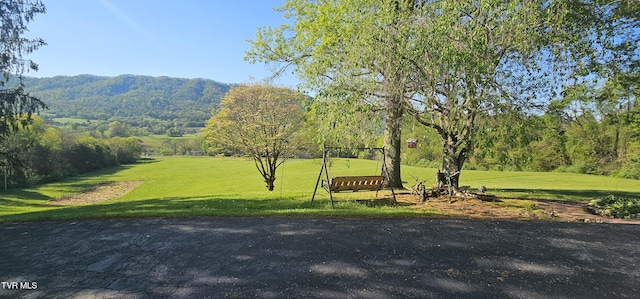 304 Tunnel Dr, Dryden, VA 24243 - view of home's community with a lawn and a mountain view