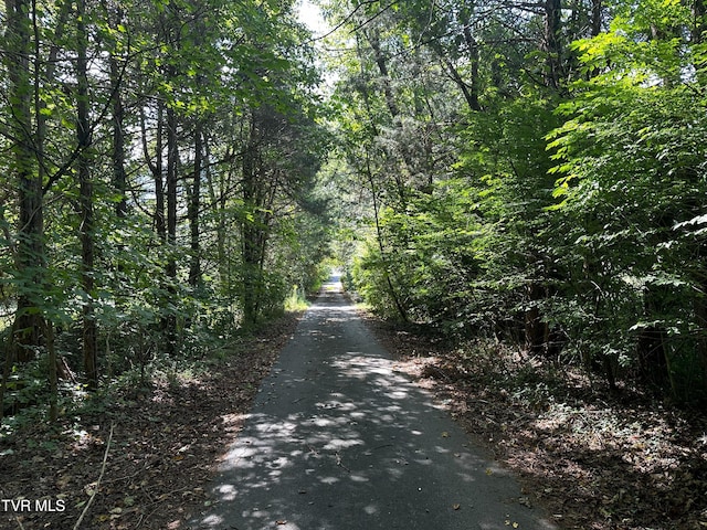 304 Tunnel Dr, Dryden, VA 24243 - view of street with a view of trees