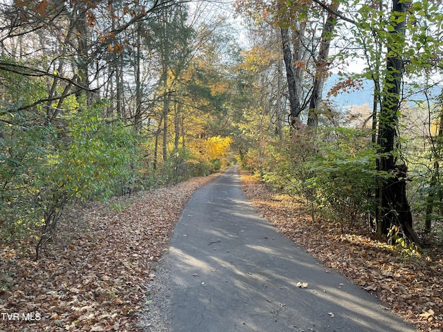 304 Tunnel Dr, Dryden, VA 24243 - view of road featuring a forest view