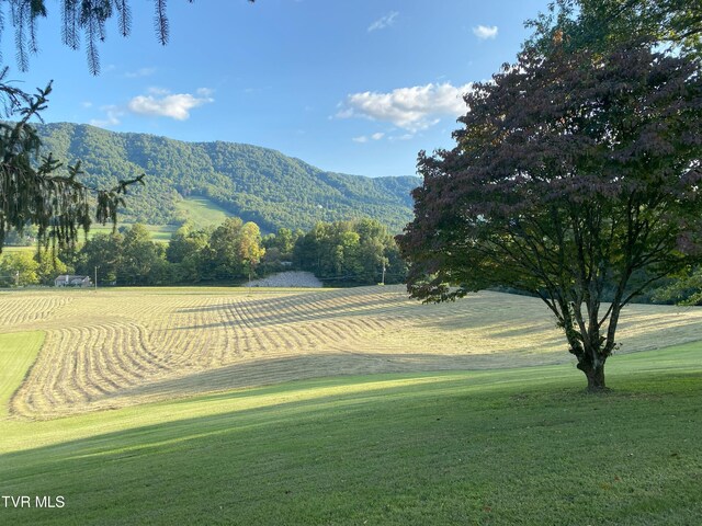 304 Tunnel Dr, Dryden, VA 24243 - view of home's community featuring a mountain view, a yard, and view of golf course