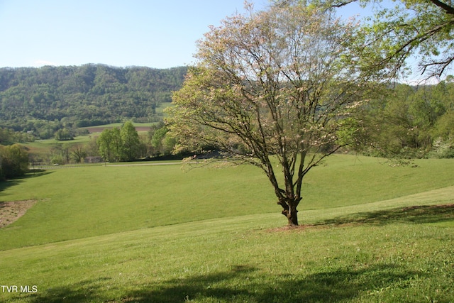 304 Tunnel Dr, Dryden, VA 24243 - view of home's community with a yard