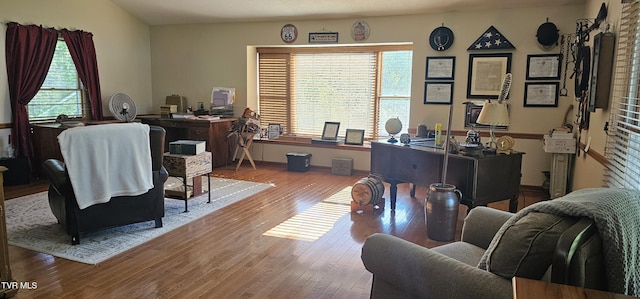 304 Tunnel Dr, Dryden, VA 24243 - office area with wood finished floors and a wealth of natural light