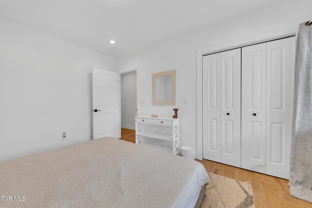 2040 Happy Valley Rd, Limestone, TN 37681 - bedroom with recessed lighting, light wood-type flooring, and a closet
