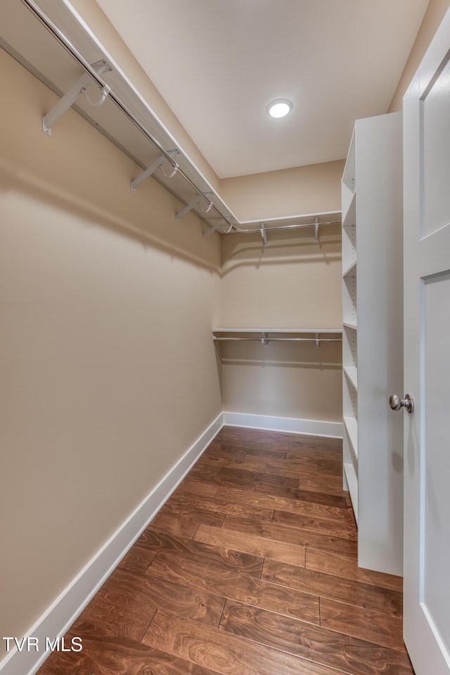 1447 Lemongrass Dr, Jonesborough, TN 37659 - walk in closet with dark wood-style floors
