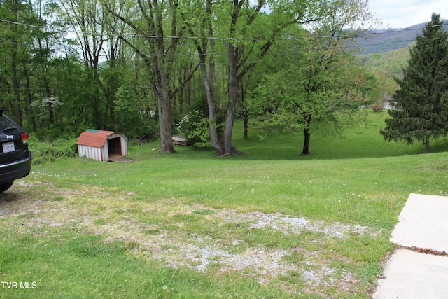 view of yard featuring an outdoor structure and a storage shed