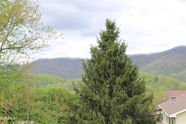 property view of mountains featuring a wooded view
