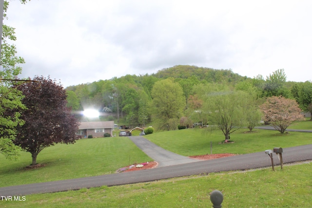 view of community featuring a forest view and a yard
