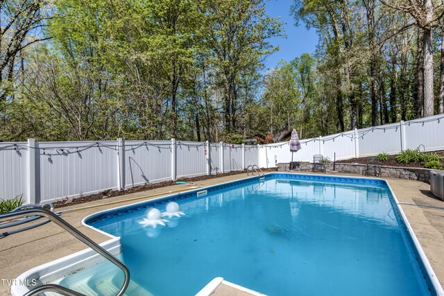 607 Dover Ave, Mount Carmel, TN 37645 - photo 4