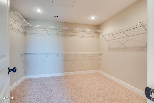 walk in closet with attic access and carpet floors