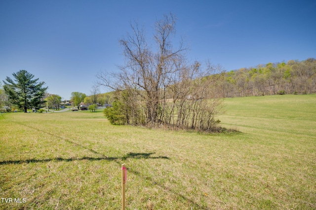 563 Sugar Hollow Rd, Piney Flats, TN 37686