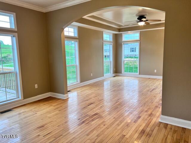 spare room featuring light wood-style flooring, visible vents, crown molding, and plenty of natural light