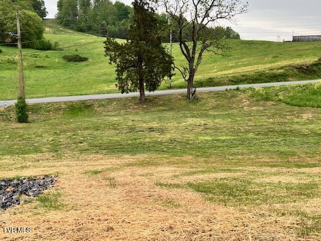 view of yard with a rural view
