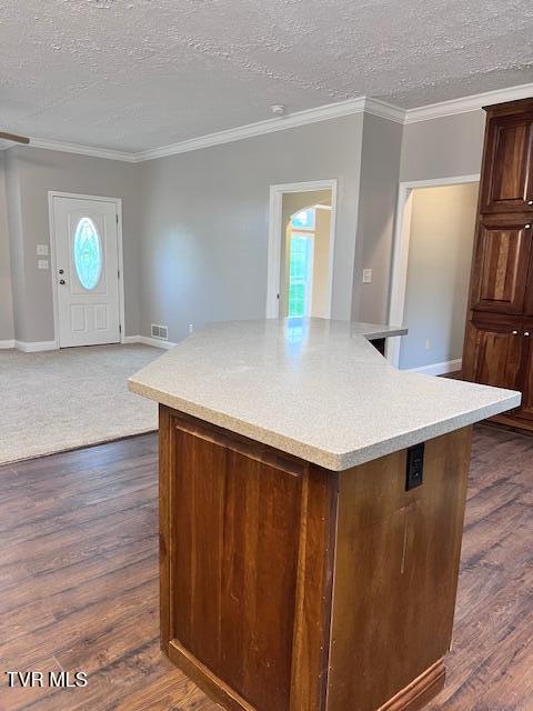 kitchen featuring dark wood-style floors, a textured ceiling, plenty of natural light, light countertops, and ornamental molding