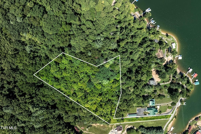 LOT14B Cable Hollow Rd, Butler, TN 37640