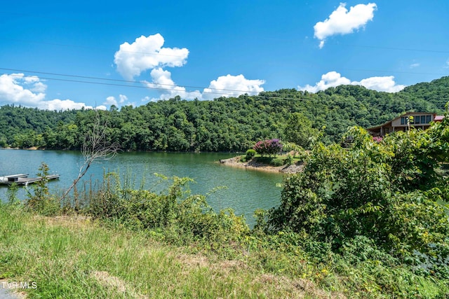 LOT14B Cable Hollow Rd, Butler, TN 37640